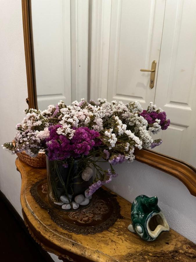 Apartment Hisa 7 Piran Zewnętrze zdjęcie